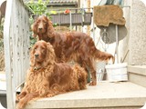 DSC00986