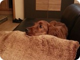 20130905_220502